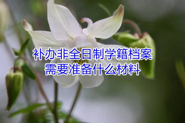 补办非全日制学籍档案需要准备什么材料