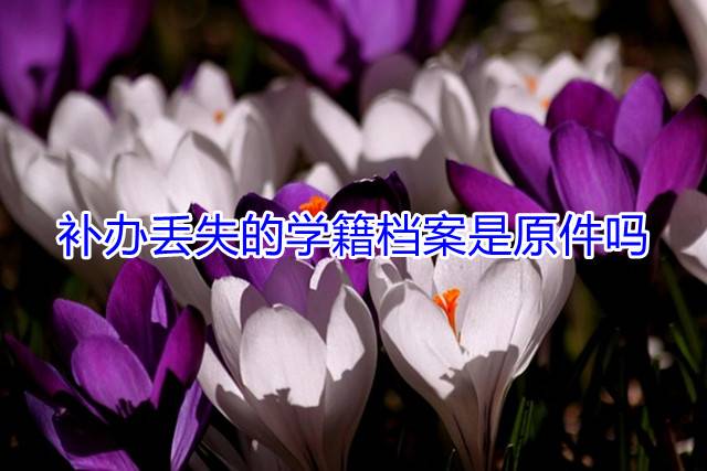 补办丢失的学籍档案是原件吗