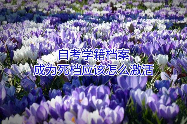 自考学籍档案成为死档应该怎么激活