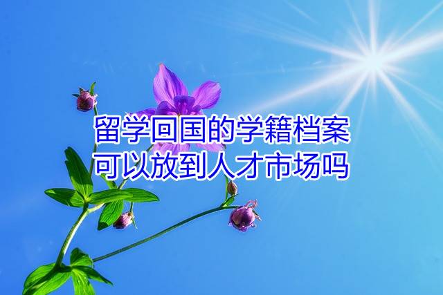 留学回国的学籍档案可以放到人才市场吗
