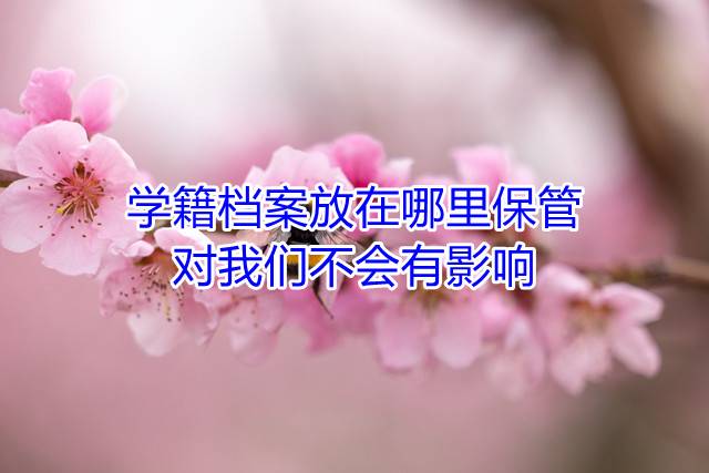 学籍档案放在哪里保管对我们不会有影响