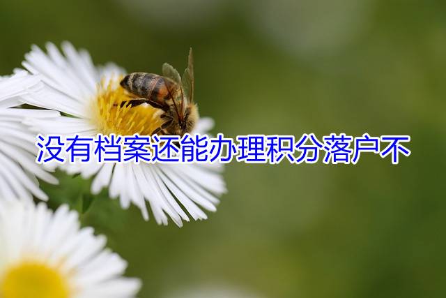 没有档案还能办理积分落户不