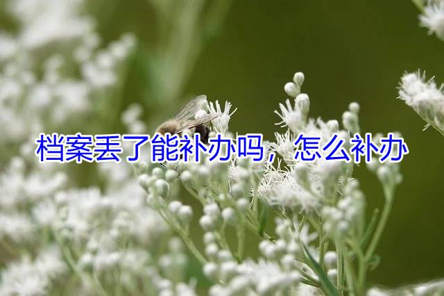 档案丢了能补办吗，怎么补办