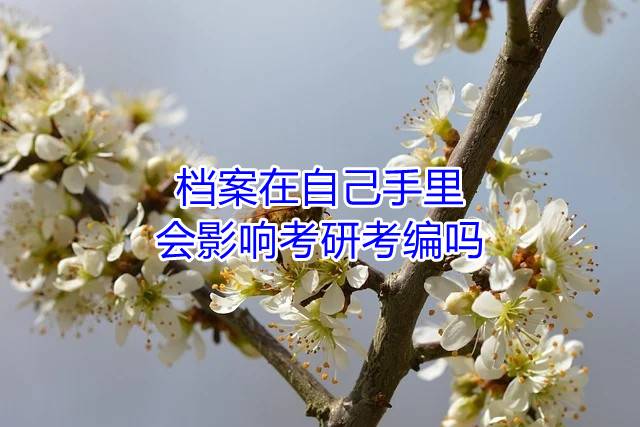 档案在自己手里会影响考研考编吗