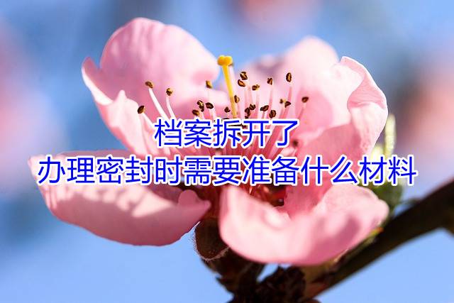 档案拆开了，办理密封时需要准备什么材料