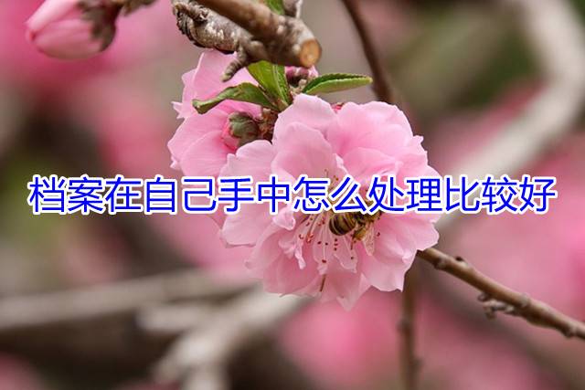 档案在自己手中怎么处理比较好