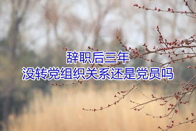 辞职后三年没转党组织关系还是党员吗.jpg