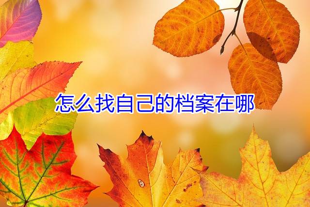 怎么找自己的档案在哪