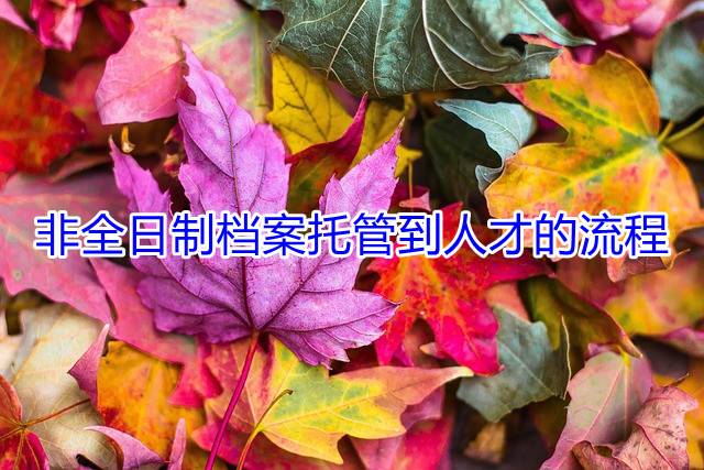 非全日制档案托管到人才的流程