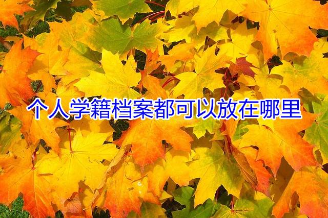 个人学籍档案都可以放在哪里