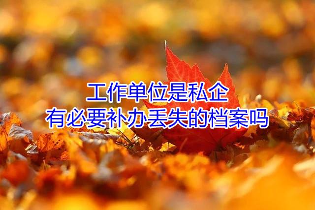 工作单位是私企，有必要补办丢失的档案吗