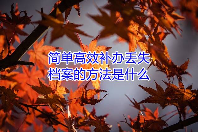 简单高效补办丢失档案的方法是什么