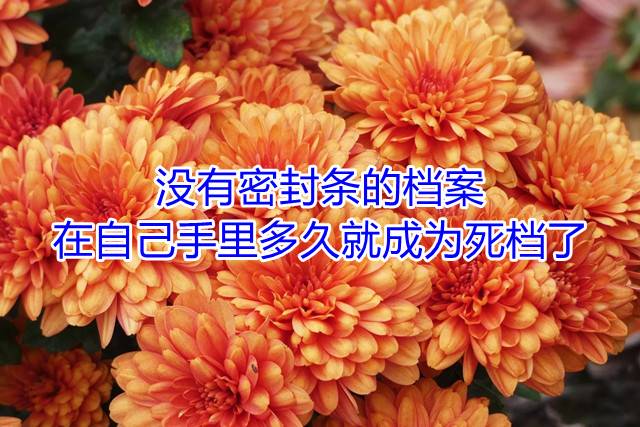 没有密封条的档案在自己手里多久就成为死档了