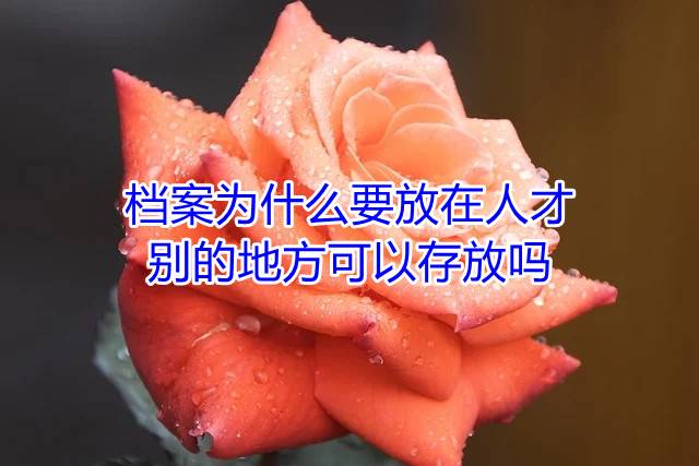 档案为什么要放在人才，别的地方可以存放吗