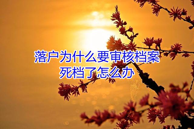 落户为什么要审核档案，死档了怎么办