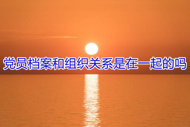 党员档案和组织关系是在一起的吗