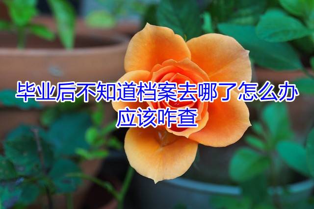 毕业后不知道档案去哪了怎么办，应该咋查