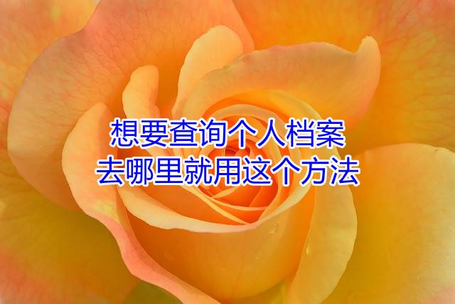 想要查询个人档案去哪里就用这个方法