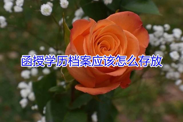 函授学历档案应该怎么存放
