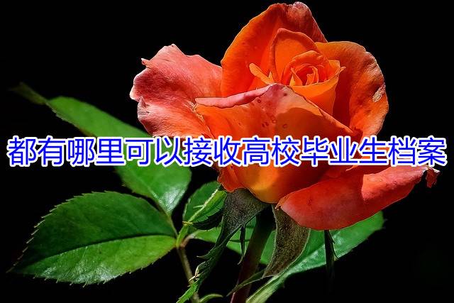 都有哪里可以接收高校毕业生档案