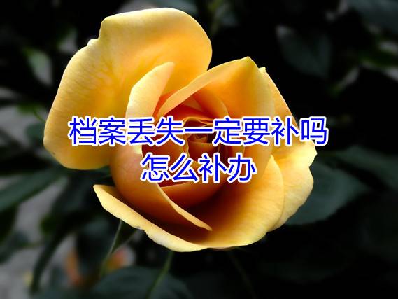 档案丢失一定要补吗，怎么补办