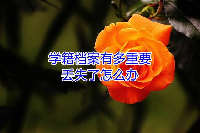 学籍档案有多重要，丢失了怎么办