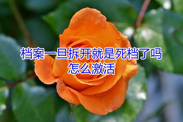 档案一旦拆开就是死档了吗，怎么激活