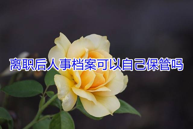 离职后人事档案可以自己保管吗