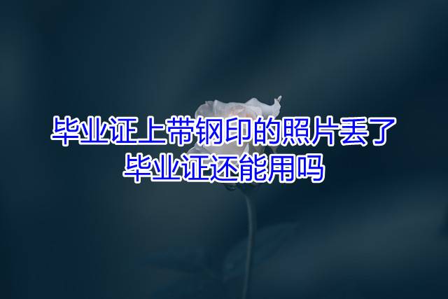 毕业证上带钢印的照片丢了，毕业证还能用吗.jpg