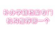 补办学籍档案专门机构推荐哪一个