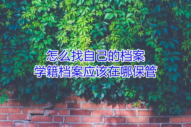 怎么找自己的档案，学籍档案应该在哪保管