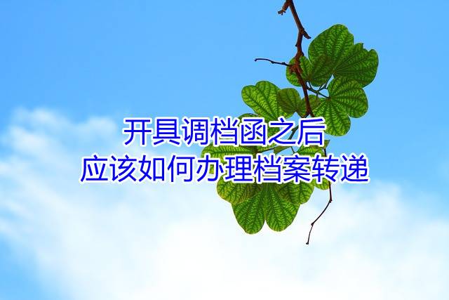 开具调档函之后应该如何办理档案转递