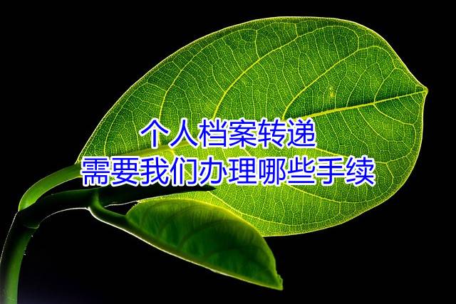 个人档案转递需要我们办理哪些手续