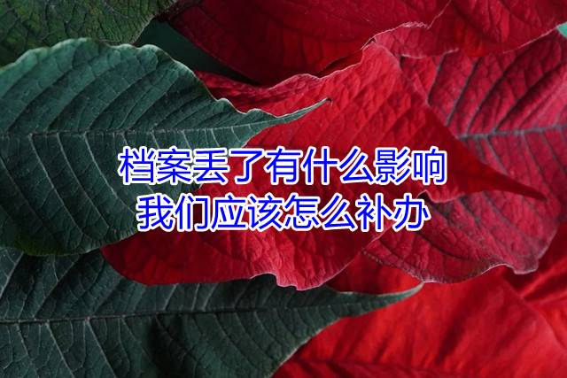 档案丢了有什么影响，我们应该怎么补办