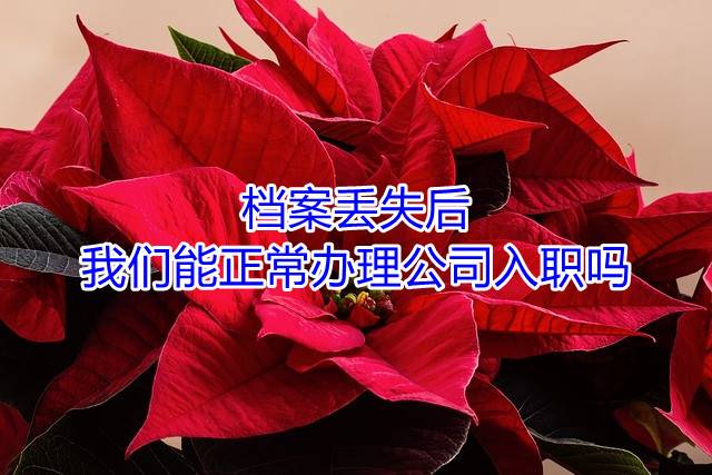 档案丢失后，我们能正常办理公司入职吗