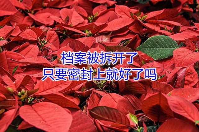 档案被拆开了，只要密封上就好了吗