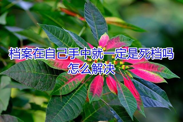 档案在自己手中就一定是死档吗，怎么解决