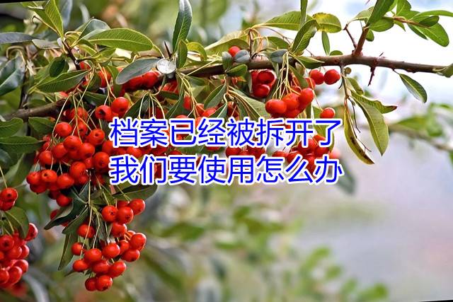 档案已经被拆开了，我们要使用怎么办