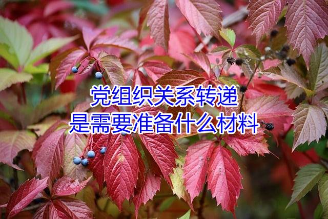 党组织关系转递是需要准备什么材料