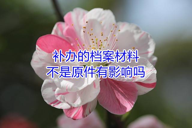 补办的档案材料不是原件有影响吗