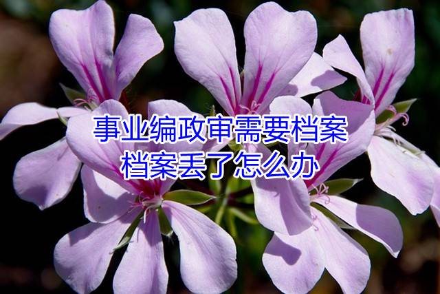 事业编政审需要档案，档案丢了怎么办