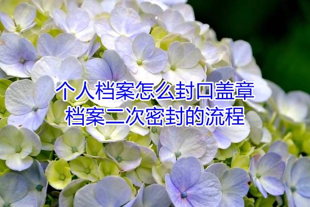 个人档案怎么封口盖章，档案二次密封的流程