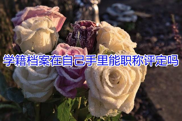 学籍档案在自己手里能职称评定吗