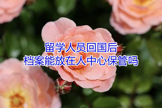 留学人员回国后档案能放在人中心保管吗