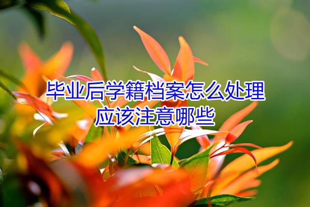 毕业后学籍档案怎么处理，应该注意哪些