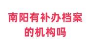 南阳有补办档案的机构吗，在哪，多少钱