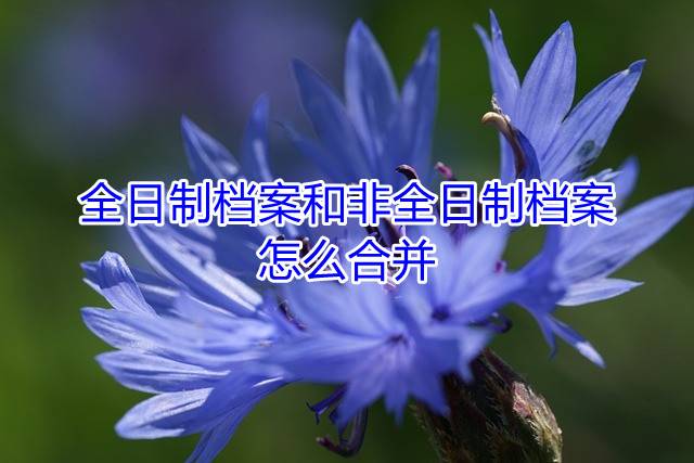 全日制档案和非全日制档案怎么合并