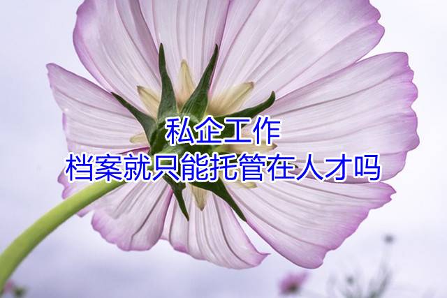 私企工作，档案就只能托管在人才吗
