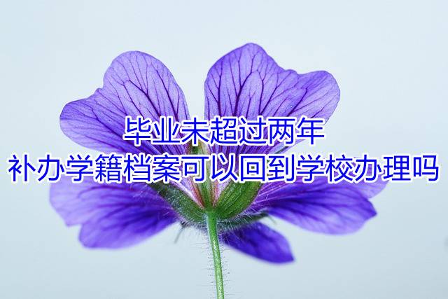 毕业未超过两年补办学籍档案可以回到学校办理吗