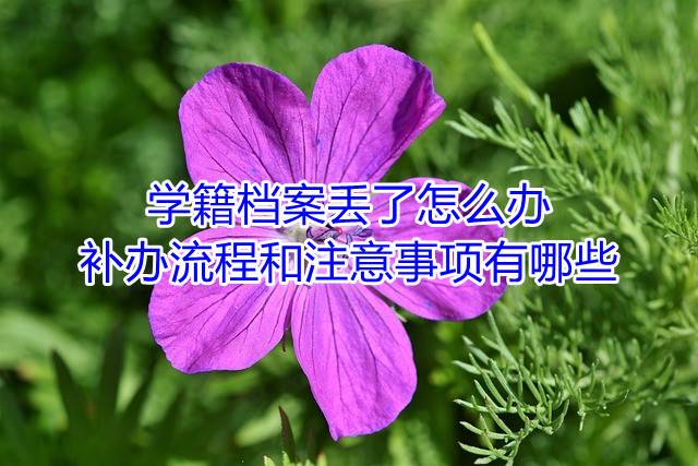 学籍档案丢了怎么办，补办流程和注意事项有哪些